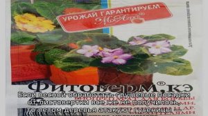 Листовертка на груше — как бороться