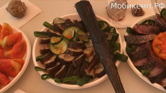 Дикарями на море "Все Включено". Бугазская коса. 2017 смотреть онлайн