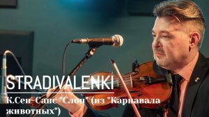 STRADIVALENKI - Сен-Санс "Слон" (из "Карнавала животных") #страдиваленки #live #концерт