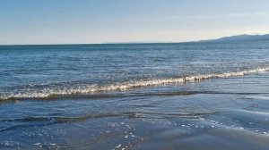 ВЗМОРЬЕ - ЛУКОМОРЬЕ #МОРЕ