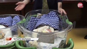 В Улан-Удэ из перинатального центра выписали четверняшек