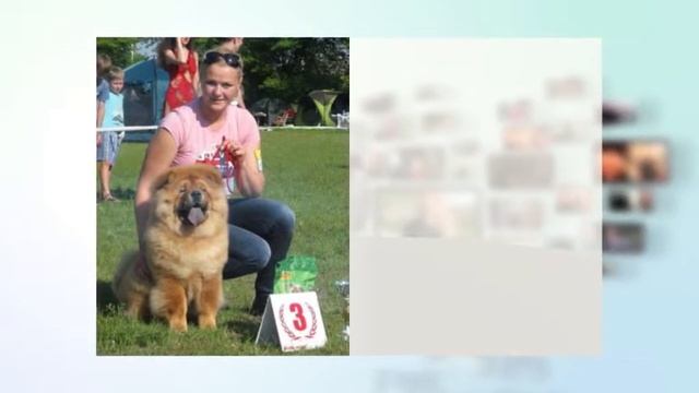 Поздравления 2 ноября 2016 смотреть онлайн