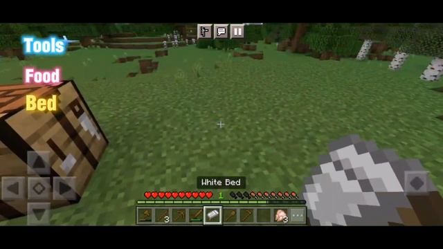 DIFFICULT TO PLAY 🥶 | PLAYING MINECRAFT AFTER 6 MONTHS 🥀