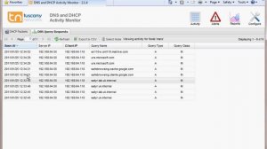 DNS & DHCP Activity Monitor - DDAM - Viewing DNS Activity Logs