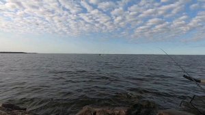 Ловля Леща на Дамбе Финского Залива