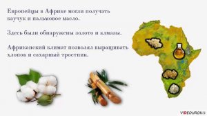 Африка. Континент в эпоху перемен