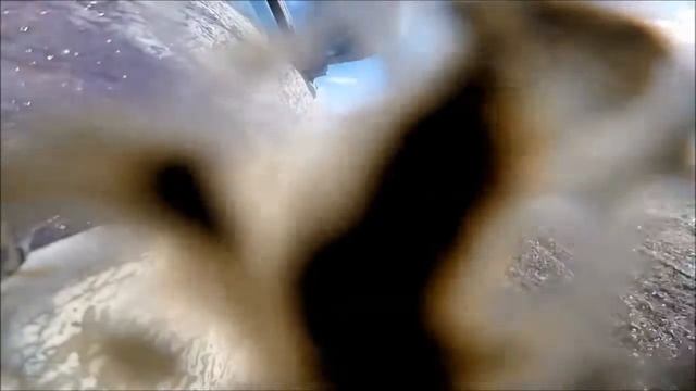 4 Выпуск Оружие в доме! смотреть онлайн