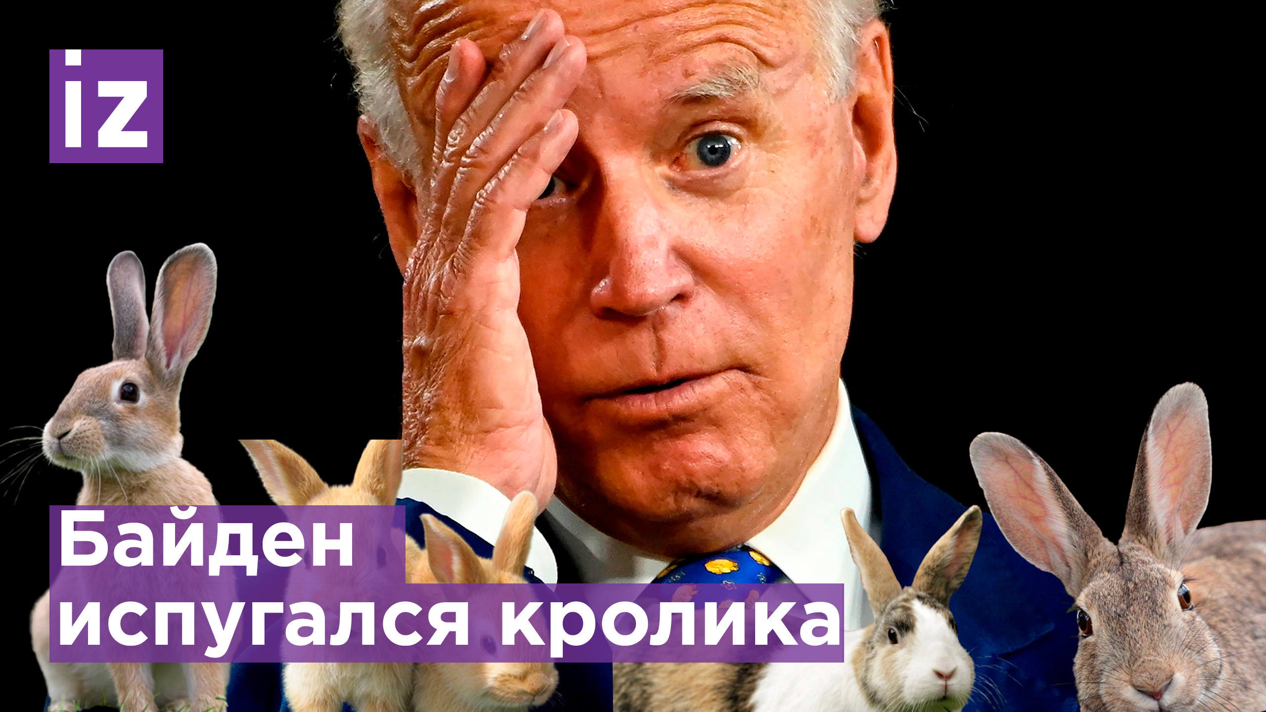 Байден убегал от пасхального кролика / Известия