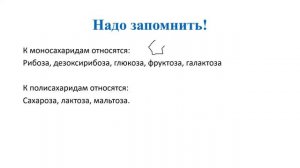Общая характеристика молекулярного уровня. Углеводы, Липиды. (Параграф 4-6)