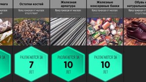 Сравнение Как долго разлагается мусор