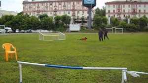 Джек MAGISTRDOG. Лучшая охрана вещи на чемп.России по ЗКС.