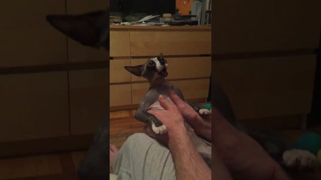 Вечерняя молитва. смотреть онлайн