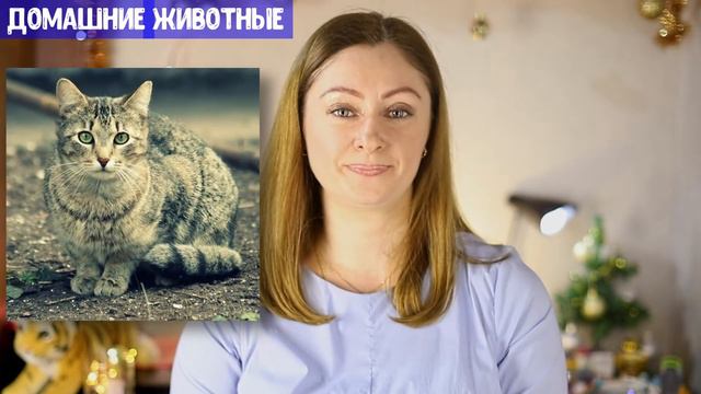 Загадки для детей: Домашние животные. Учим животных через загадки. смотреть онлайн