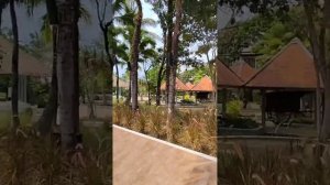Краткий обзор отеля Natai beach