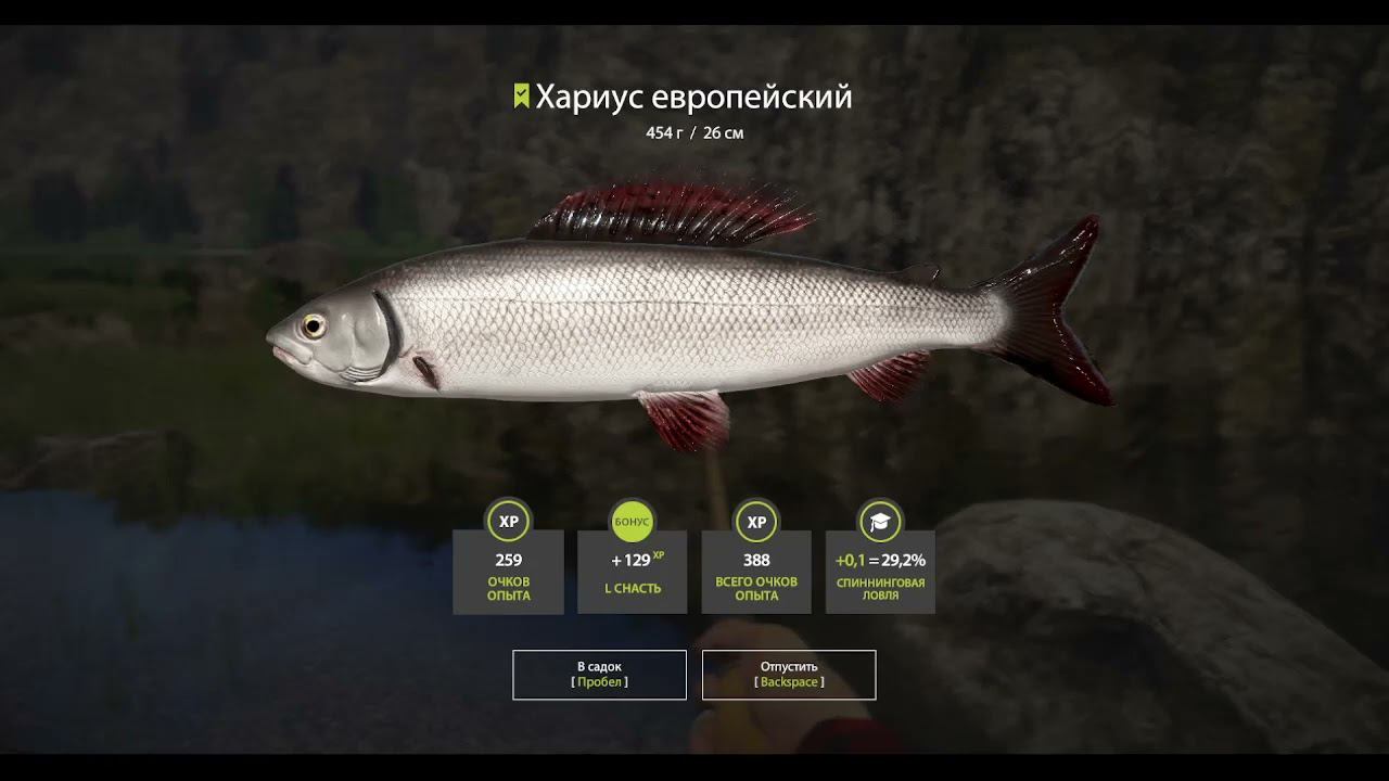 Russian Fishing 4(Русская Рыбалка 4) - река Белая и старый Спининг