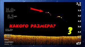 Что показывает эхолот