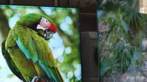 Обзор на телевизор Xiaomi ES PRO 86, сравнение с Redmi MAX 86