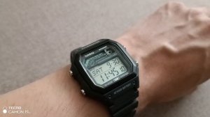 Отзыв на CASIO WS-1600H-8A (Озон, Ozon)