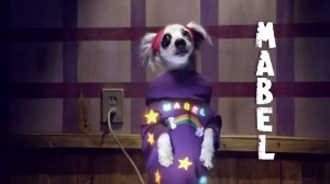 Заставка из Гравити Фолз (собачья версия)