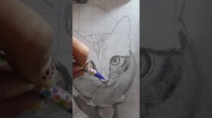 Drawing Cat realistic sketch cute cat sketch #cat #sketch #drawing