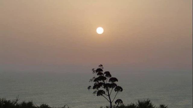 Musiche Viola di Mare смотреть онлайн