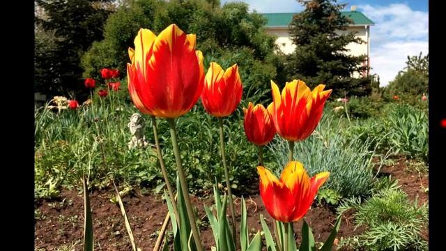 Сказка Алекс, Тали смотреть онлайн