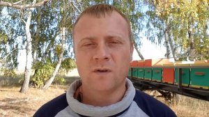 Пасека с нуля. С чего начать?