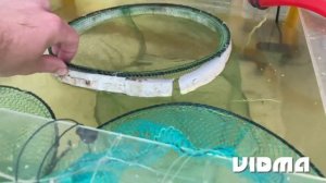 Сделали ферму ЖИВОРОДЯЩИХ рыбок в аквариуме 400 л. Эксперимент! Разведение живородящих рыб в садках