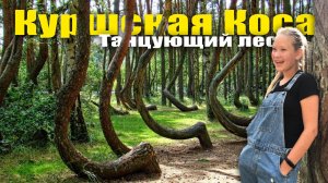 Куршская коса, Музей русских суеверий, Танцующий лес, Высота Эфа