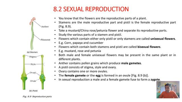 Class7 #science chapter7 part2: #reproduction   in Plants based on #ncert  books. #pappaclasses