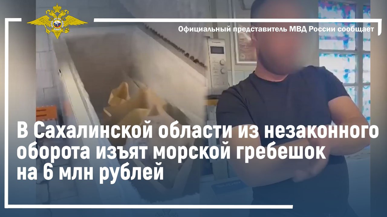Ирина Волк: В Сахалинской области из незаконного оборота изъят морской гребешок на 6 млн рублей