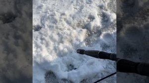 Karcher K5.55 Jubilee