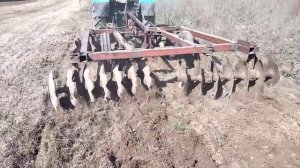 МТЗ с дисковой бороной - это сила ?