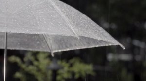 Вместе вод дождём