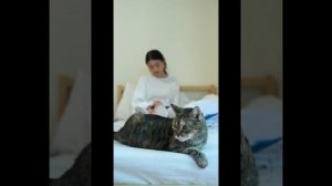 Я принёс тебе дохлую мышь