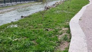 САЛГИР возвращается в русло. Эпаньол Бретон Эльза