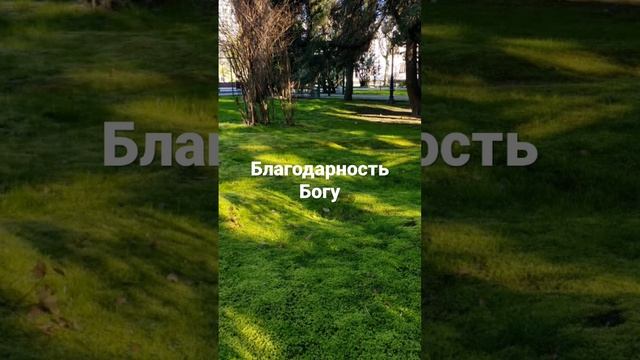 Победить уныние благодарностью . #мудрость#наставление#православие