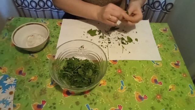 Ферментация листьев чёрной смородины для засушки с сохранением витаминов