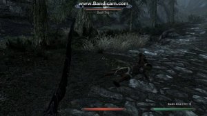 Skyrim Gameplay: Epic Headshot and Fus Ro Dah