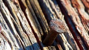 Что делать, если проколол ногу ржавым гвоздем и она опухла?