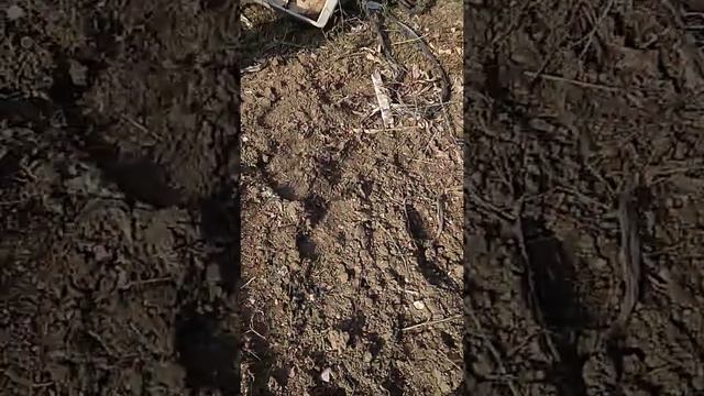 Жил дед ему 87лет. И сгорел дом. смотреть онлайн