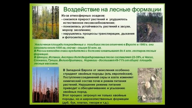Как работает Природа - Основы! / Позновательное видео обязательно к просмотру