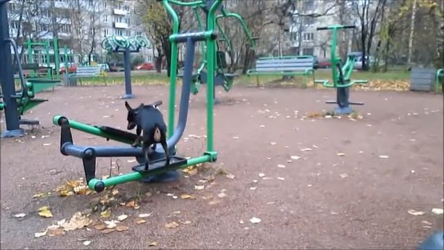 Мотя ТреТ-Стайл (Motua TreT-Style) смотреть онлайн