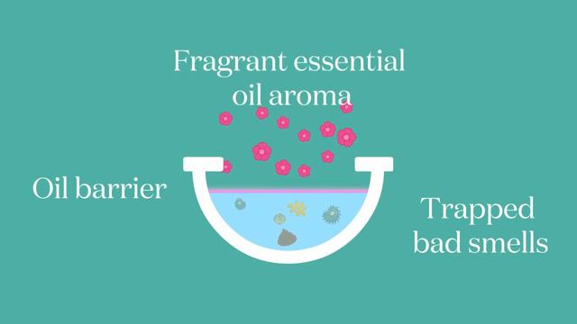 poo de cologne Before U Do No.2 Toilet Spray 30Sec смотреть онлайн