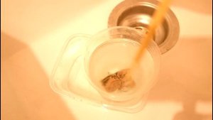 Простой электретный стерео микрофон своими руками, микрофон для компьютера, с усилителем. DIY.