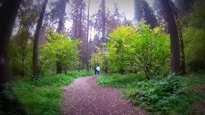 MTB # Россия / Зеленоград | Центральный лесопарк