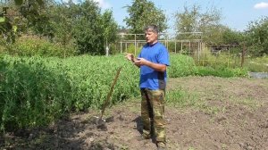 Что такое "Структура почвы", и можно ли ее улучшить?