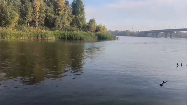 Мост р. Днепр г. Каменское(Днепродзержинск)