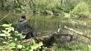 ПЕРВАЯ РЫБАЛКА НА ПОПЛАВОК В МАЕ НА РЕКЕ.