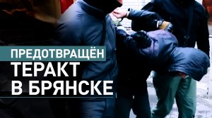 Готовил теракт: в Брянске задержали сторонника украинских националистов